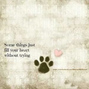 Meet your Posher, Gail